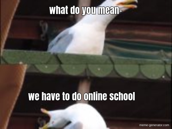 meme online school